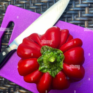CHOPPING BOARD